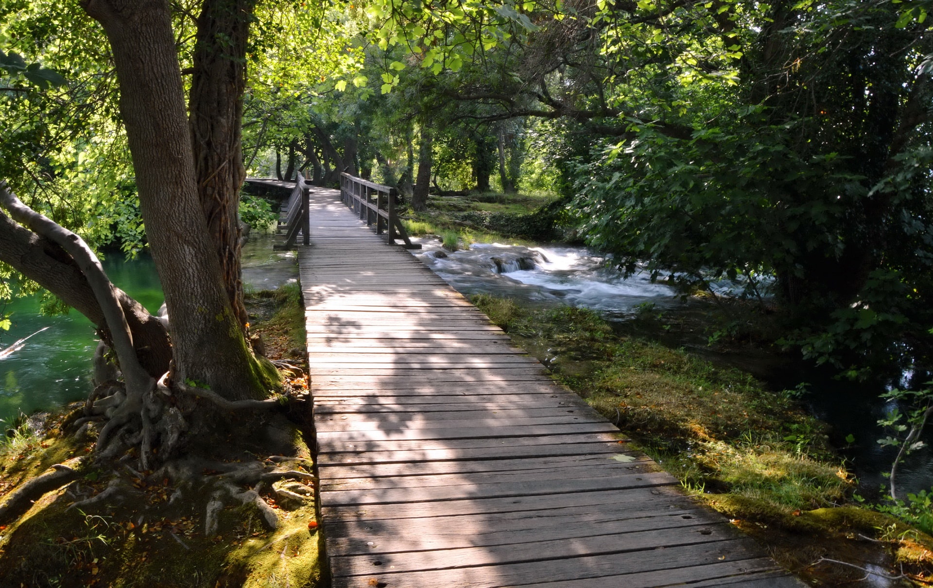 The wooden bridges in Krka take visitors through beatiful nature