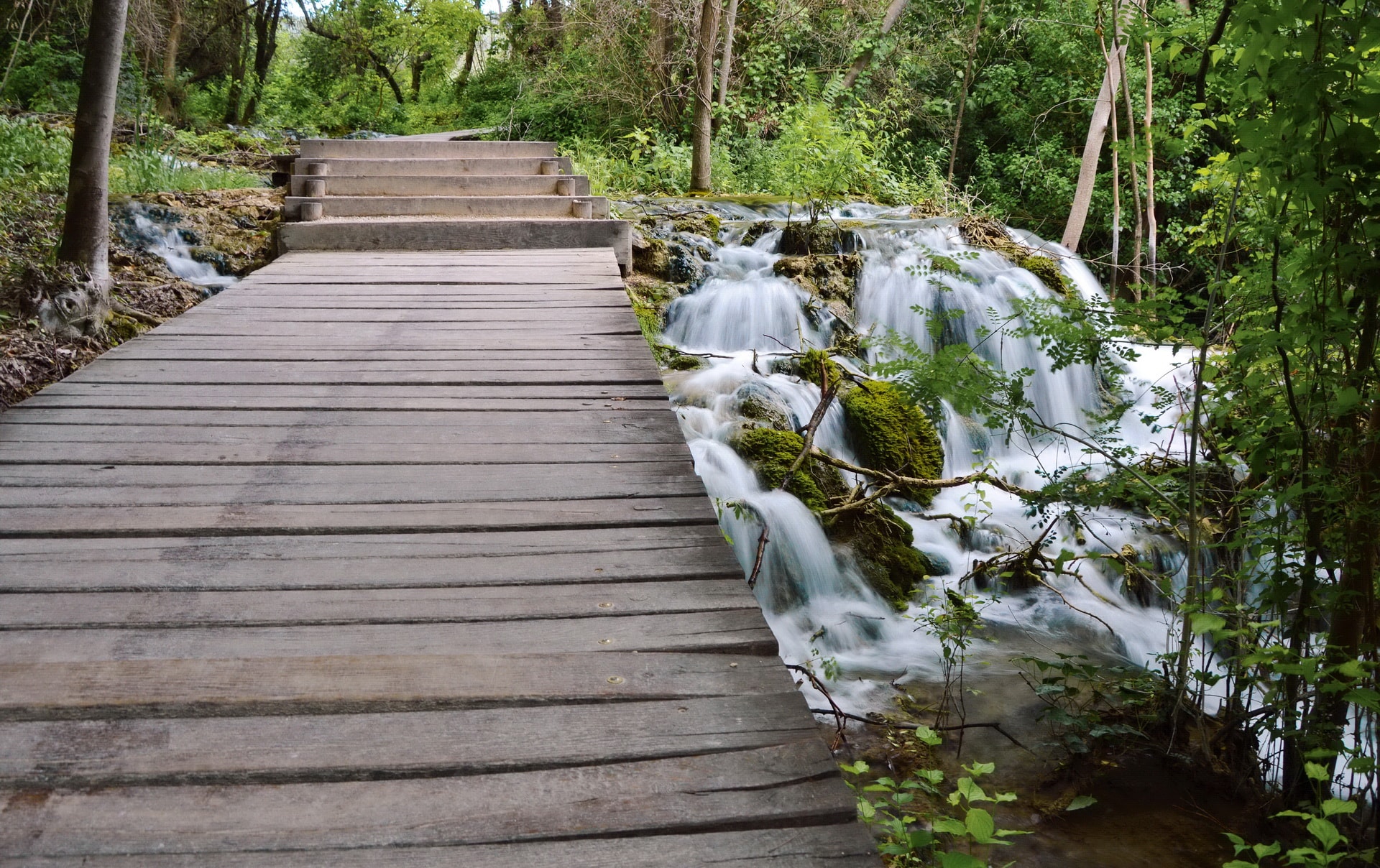 The wooden bridges in Krka take visitors through beatiful nature