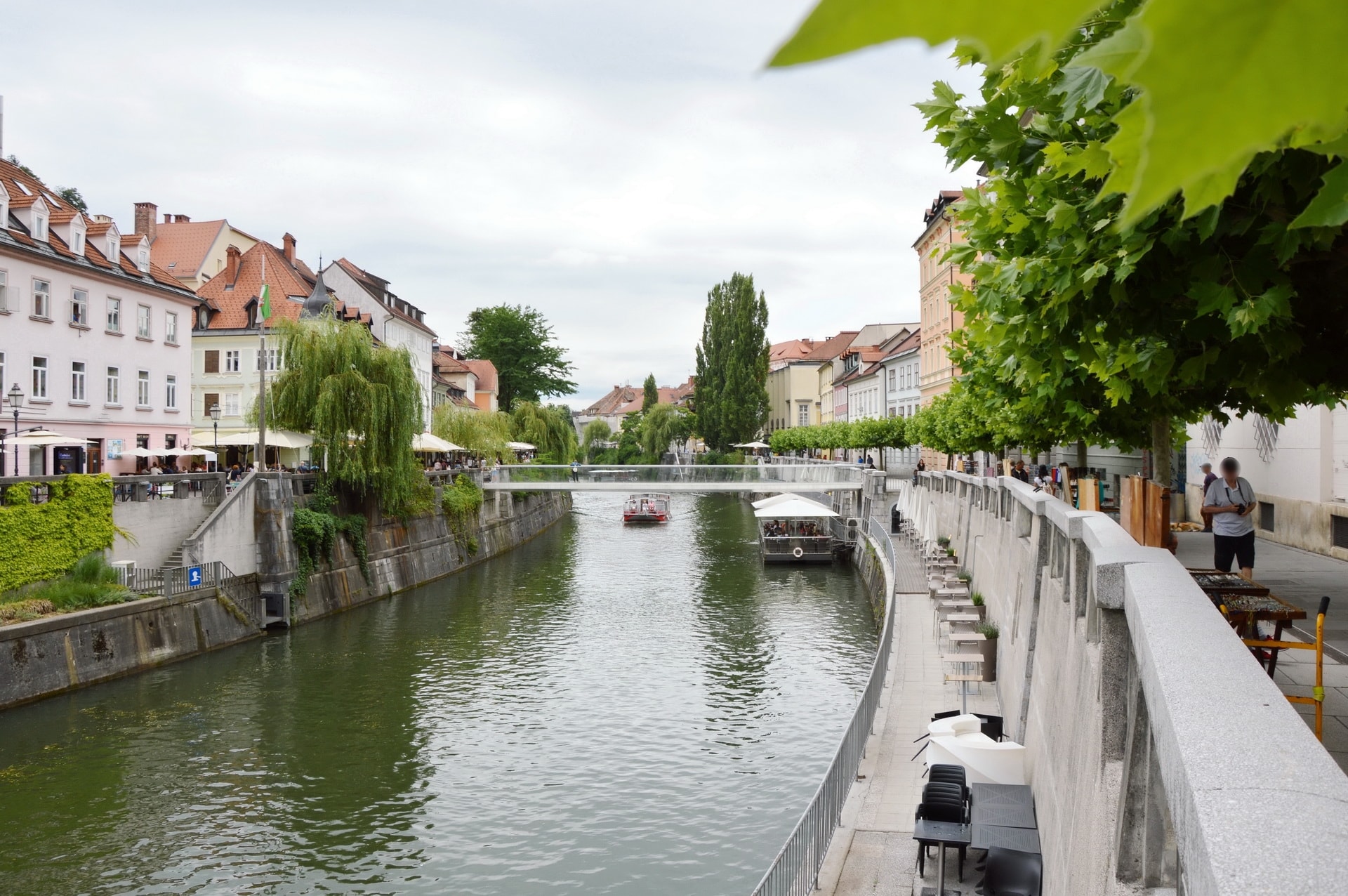 Embankments in Ljubljana are lined with trees