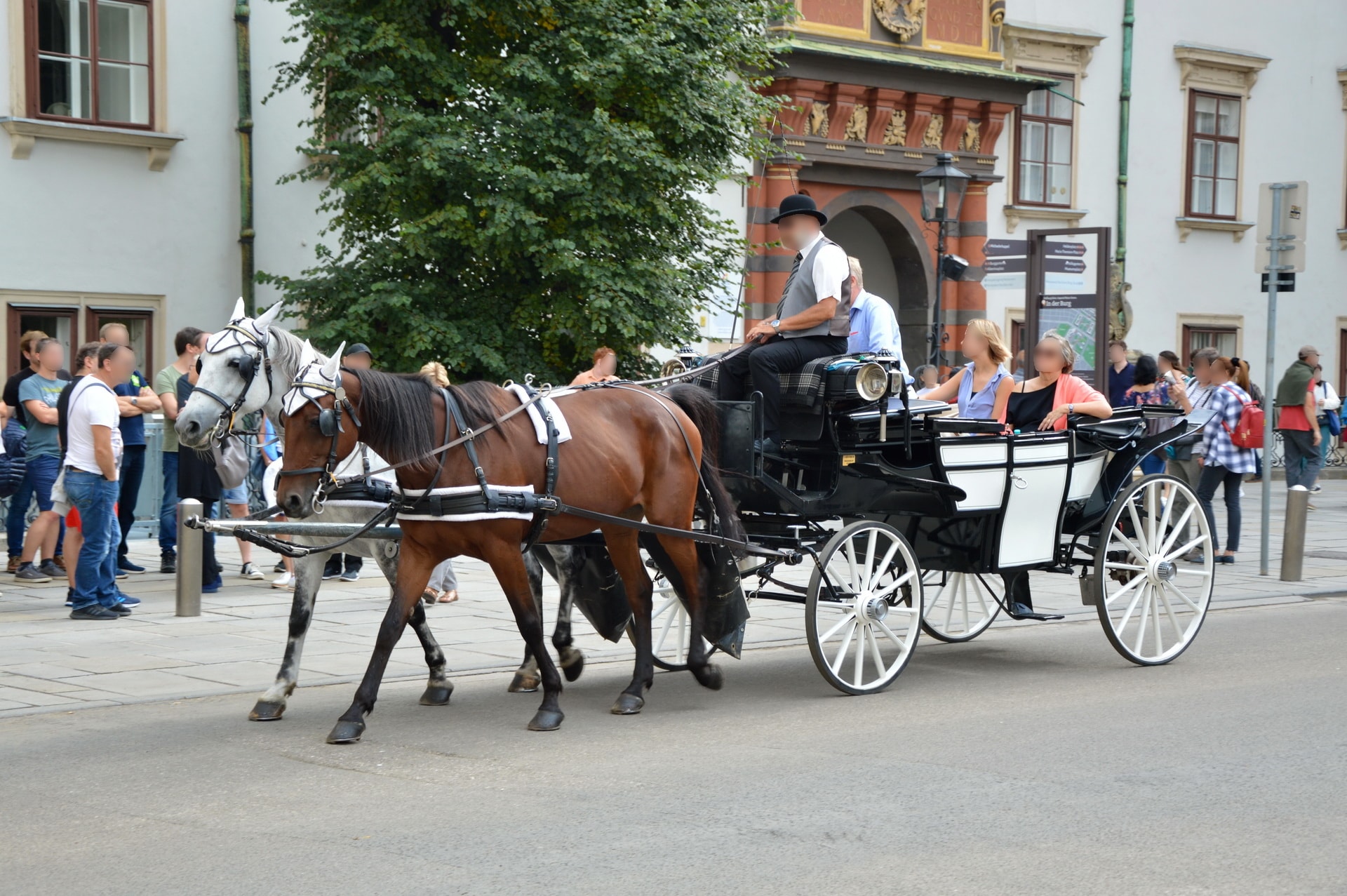 Horse-drawn carriage rides seem to be quite a popular way to explore and feel Vienna