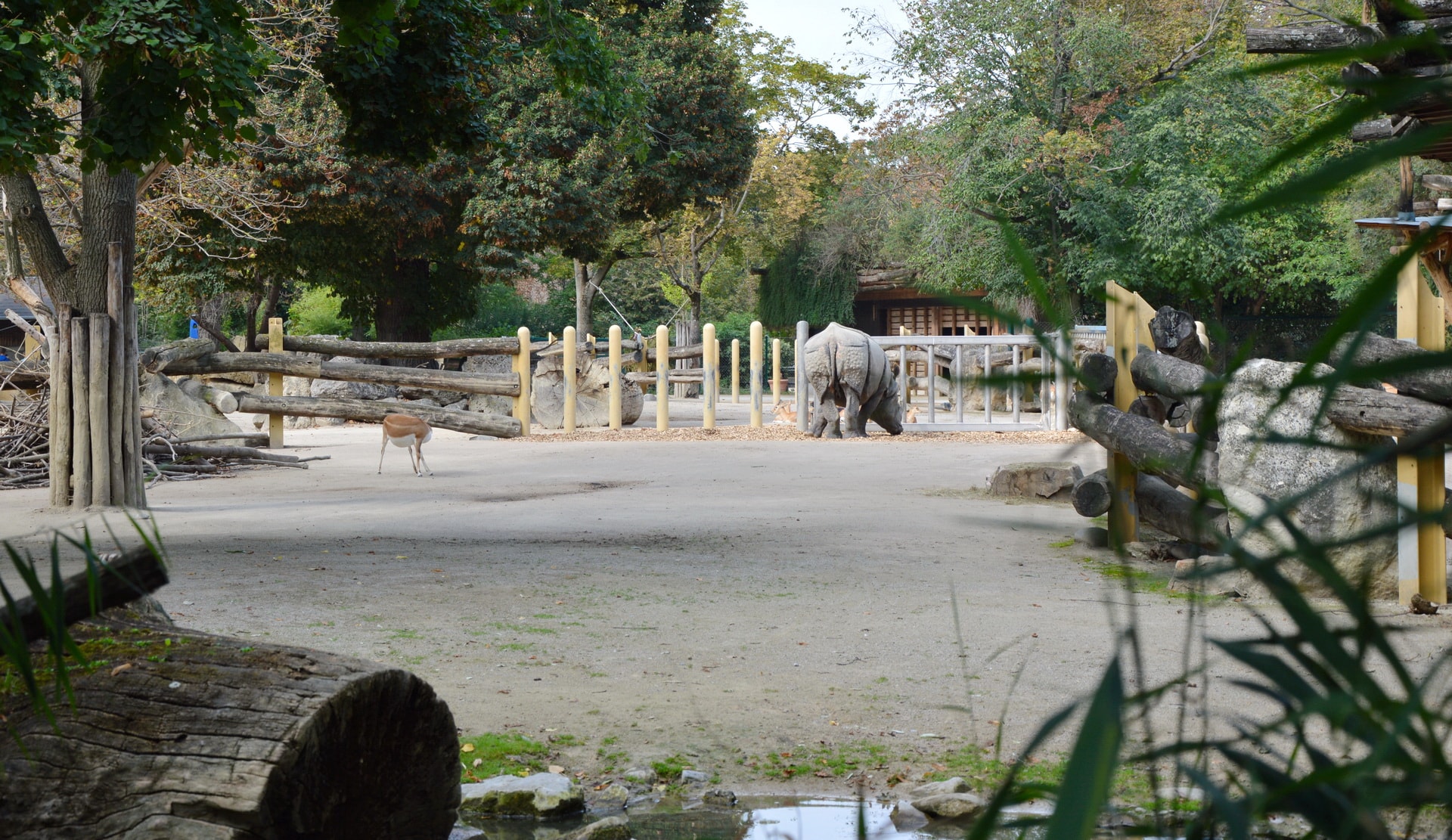 You can also visit the Schönbrunn Zoo